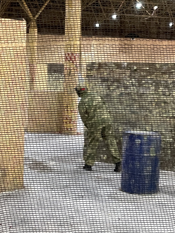 IMG 1856